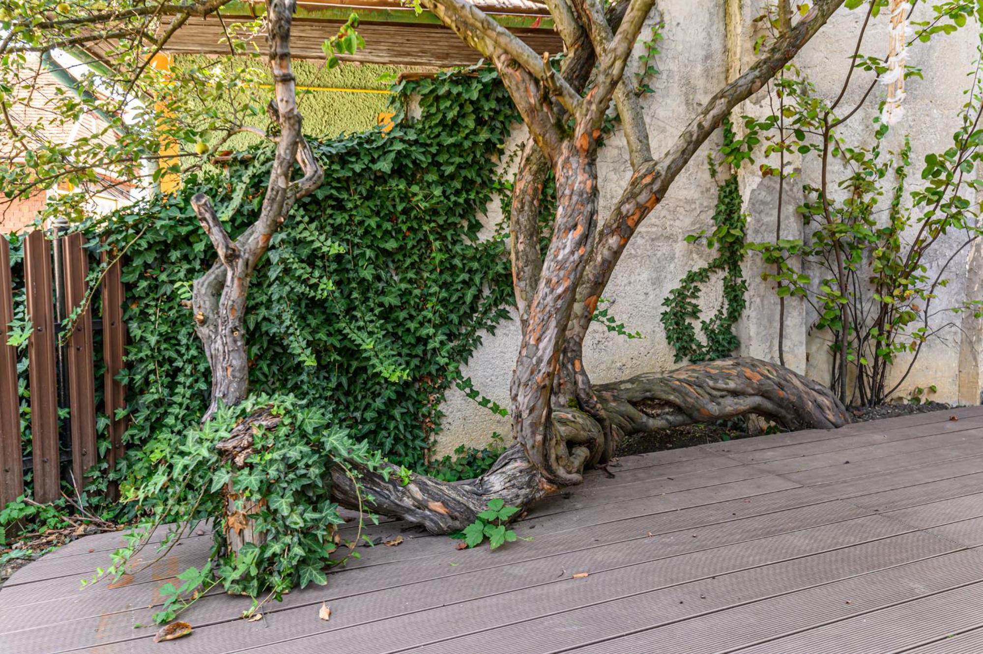 Lagom - Hot Tub Hideout Brasov Ngoại thất bức ảnh
